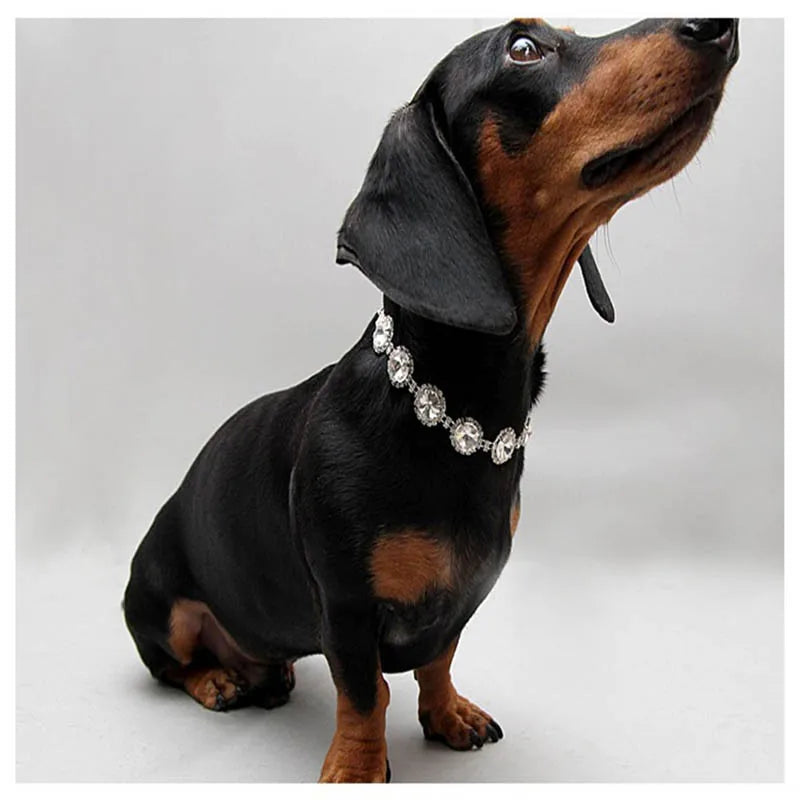 Crystal Couture Copper Collar - 7 Colors Available!