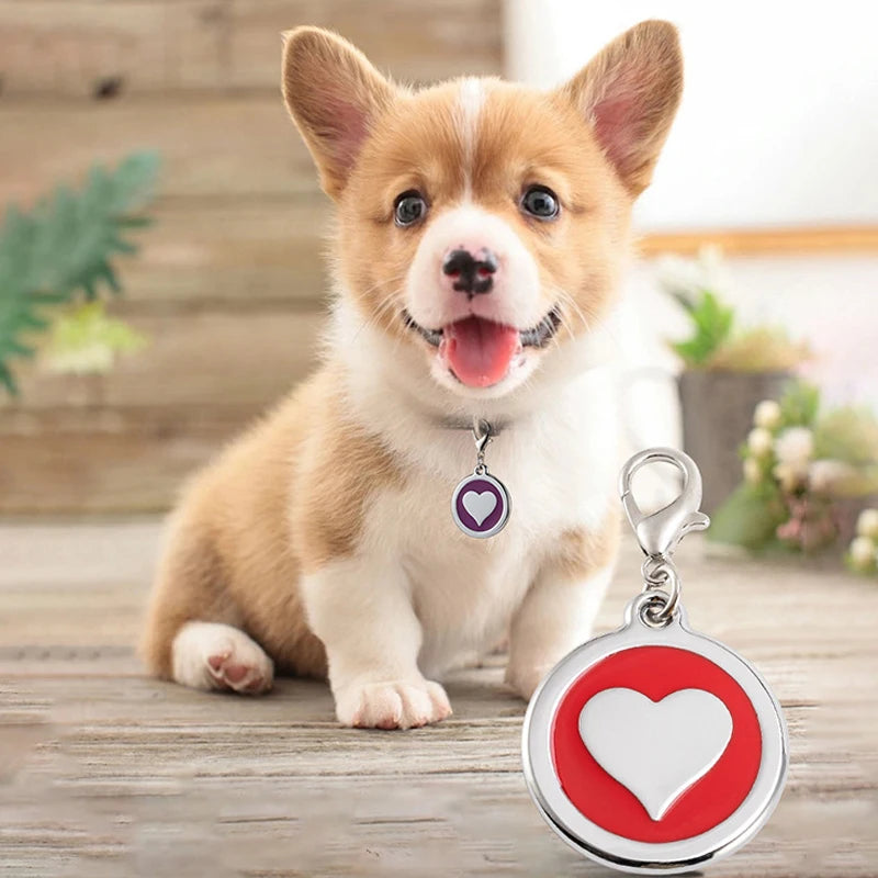 Stainless Steel Heart Pet ID Tag Personalized Customized