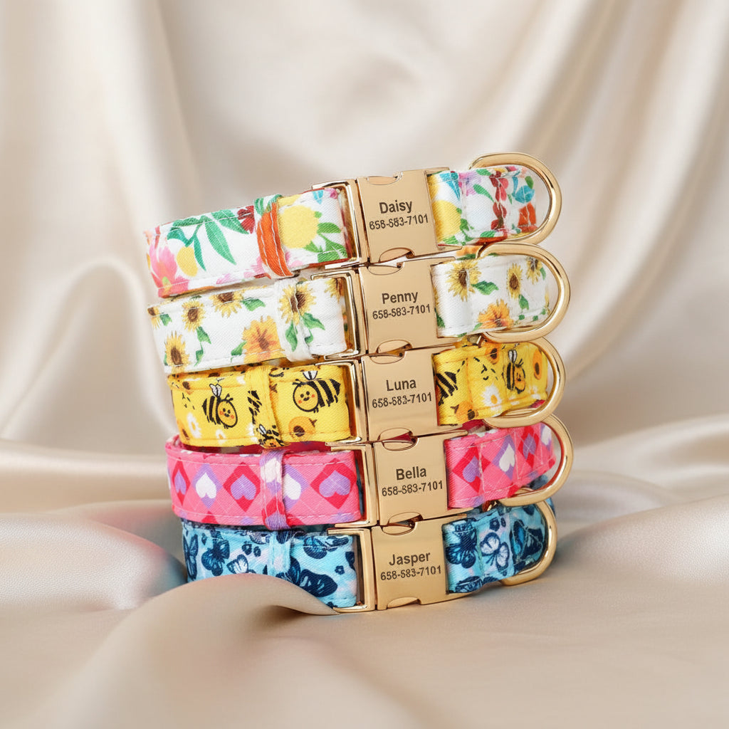 Customizable Dog Collar with Metal ID Buckle