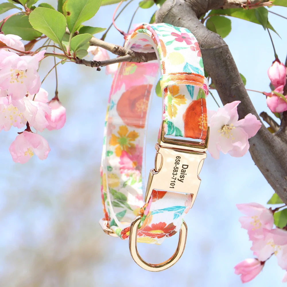 Customizable Dog Collar with Metal ID Buckle