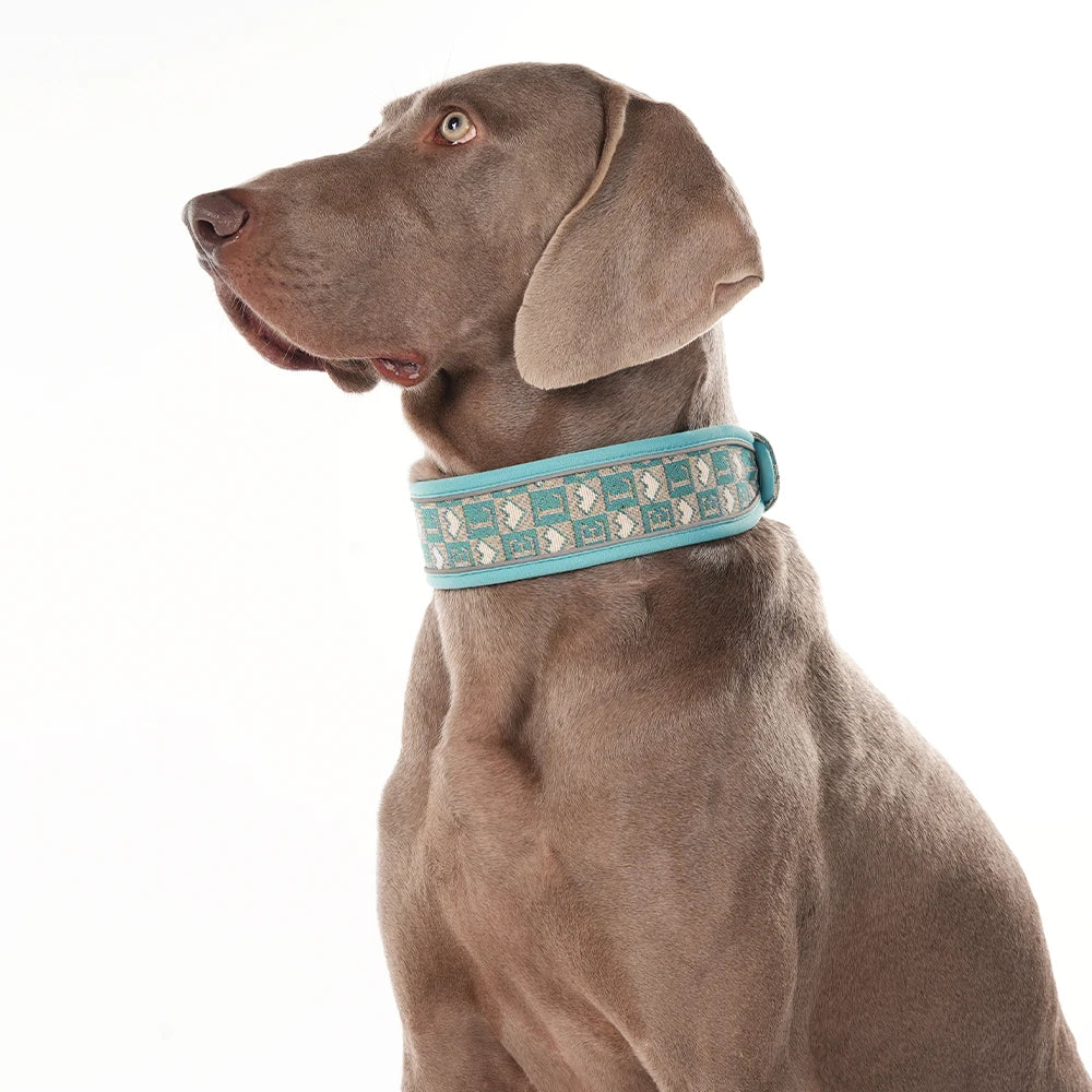 Wide Thick Reflective Mesh Fabric Breathable Dog Collar - No Neck Pressure, Non-Restrictive, Cool