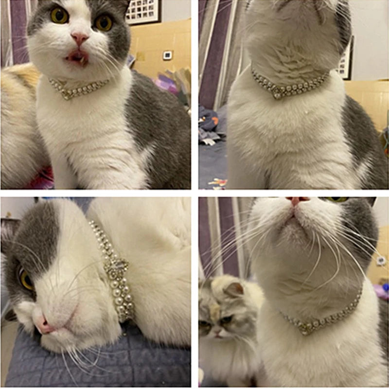 4 Luxury Cat Puppy Pearl Rhinestone Necklaces