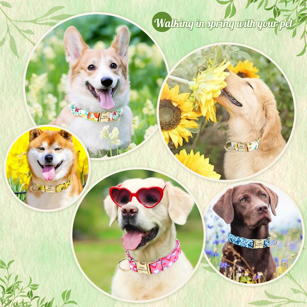 Customizable Dog Collar with Metal ID Buckle