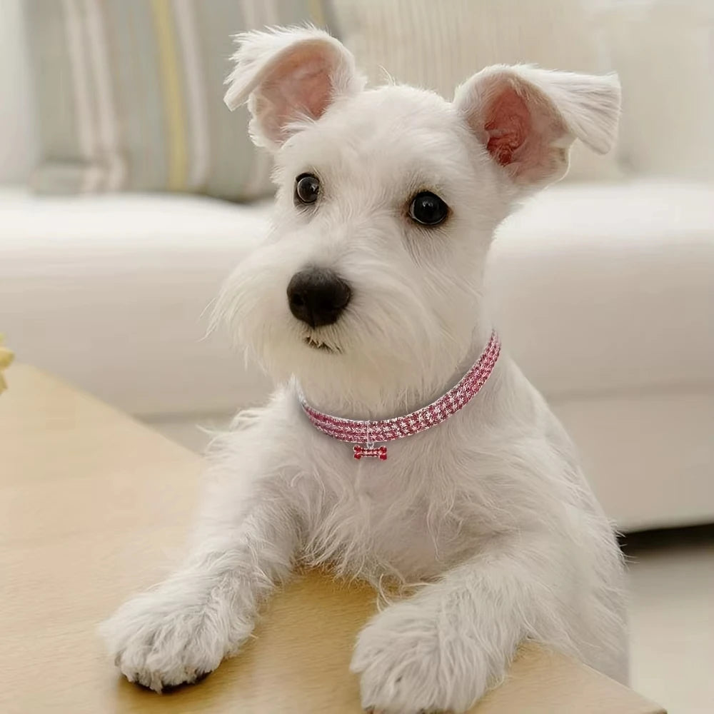 Bling Bone Pendant Collar, Pink/Blue/Silver