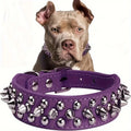 Faux Leather Dog Collar with Spikes - Anti-Bite Rivets, Cool, Attention