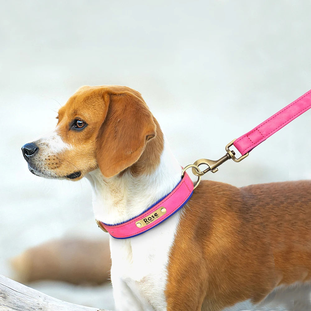 Quality Faux Leather Dog Collar Leash Set - Customize, Engrave, Name Tag